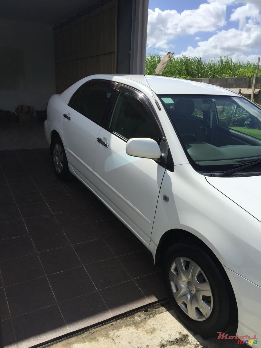 2006' Toyota Corolla 40th anniversary photo #1