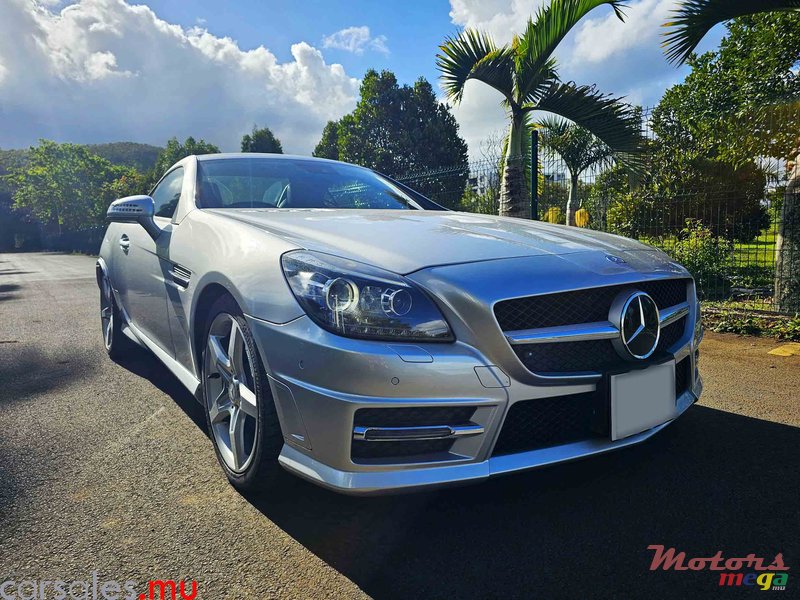 2013' Mercedes-Benz SLK 200 AMG 1.8 photo #2