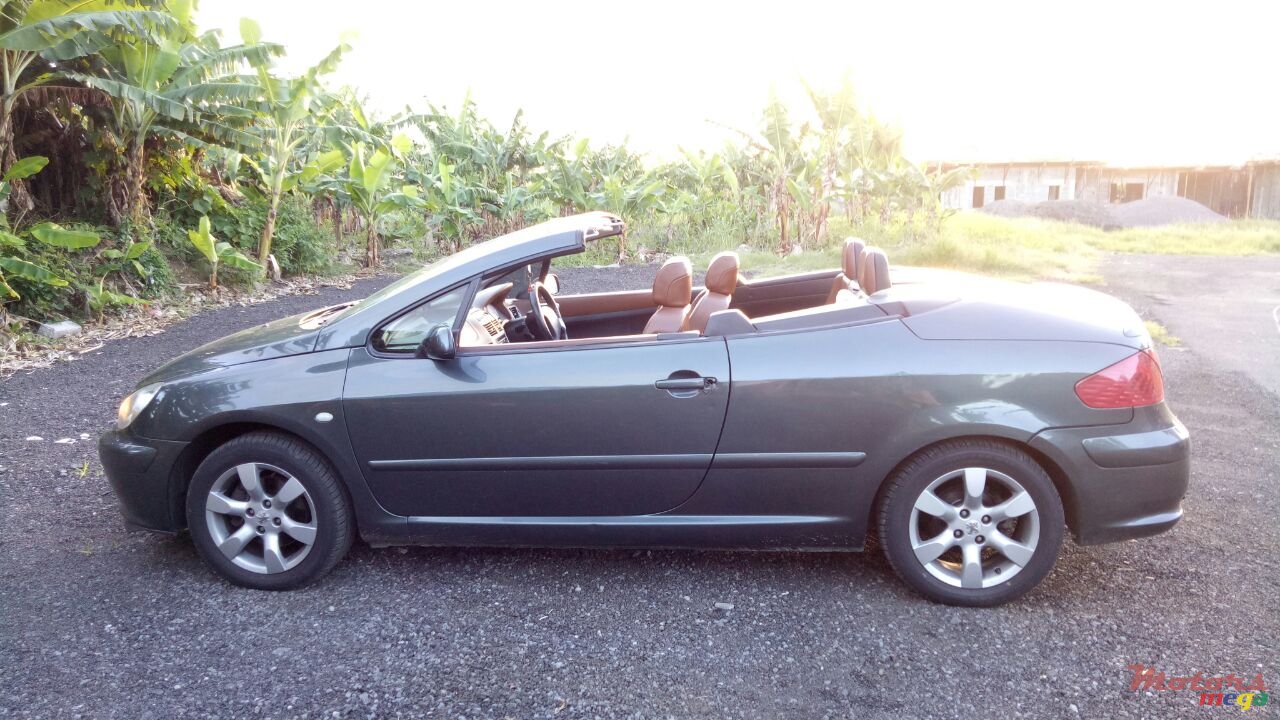 2004' Peugeot 307 photo #1