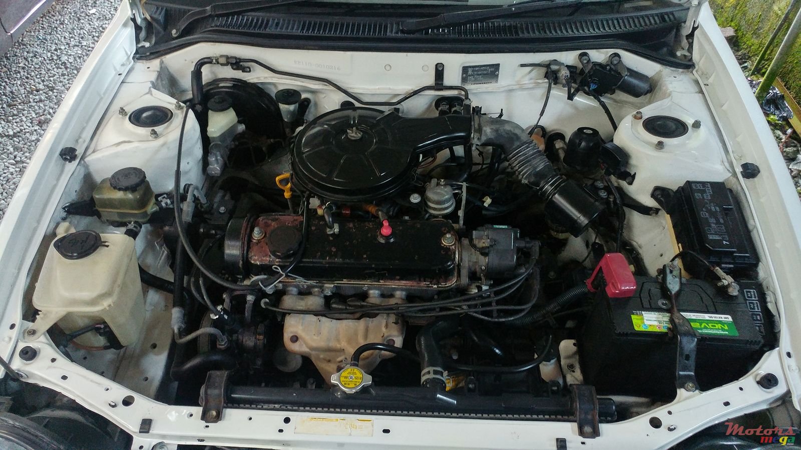 1998' Toyota Corolla photo #6