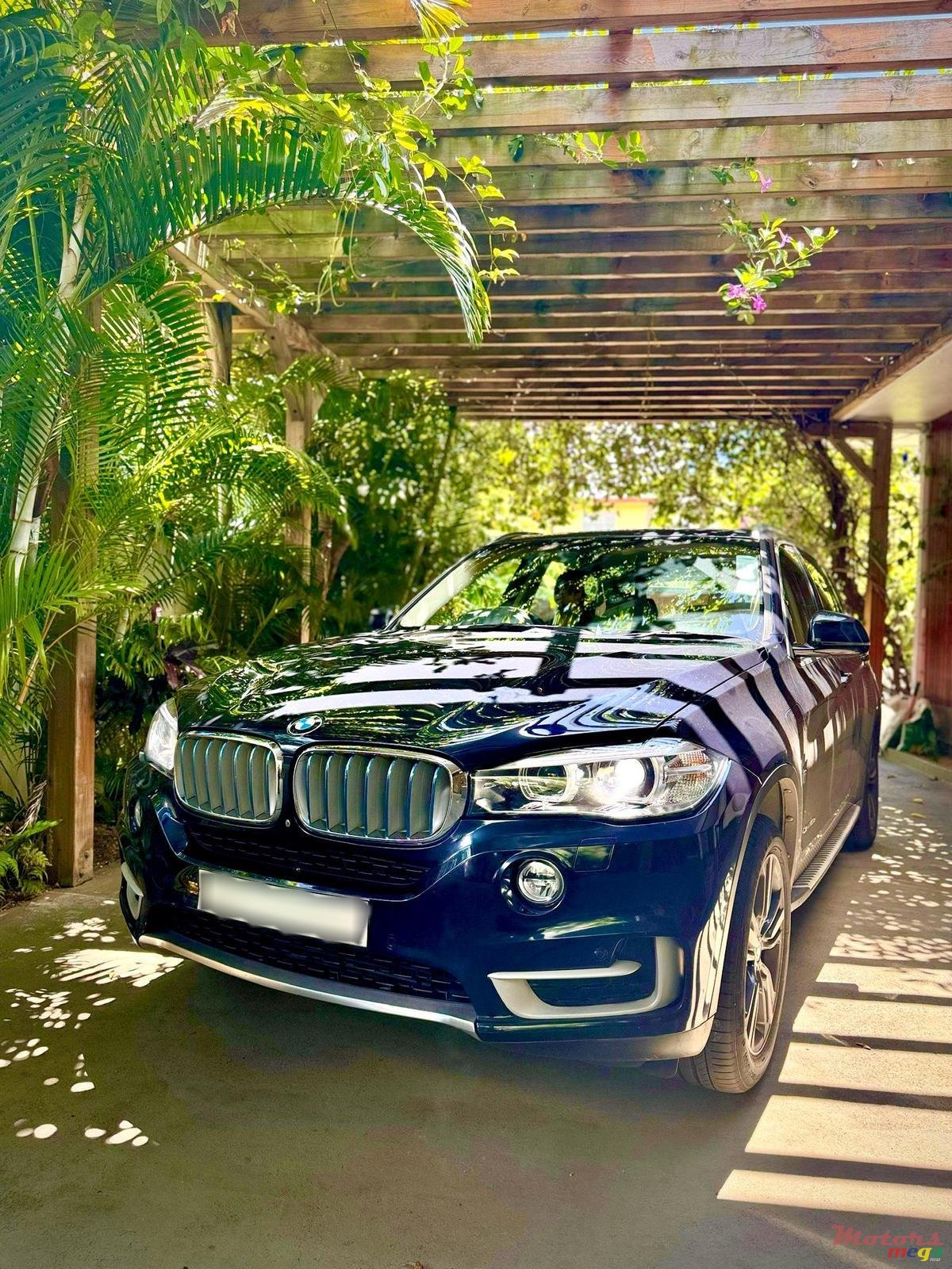 2017' BMW X5 photo #1