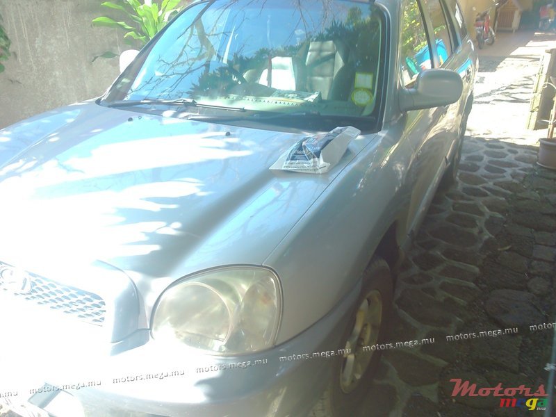 2004' Hyundai Santa Fe SUV photo #2