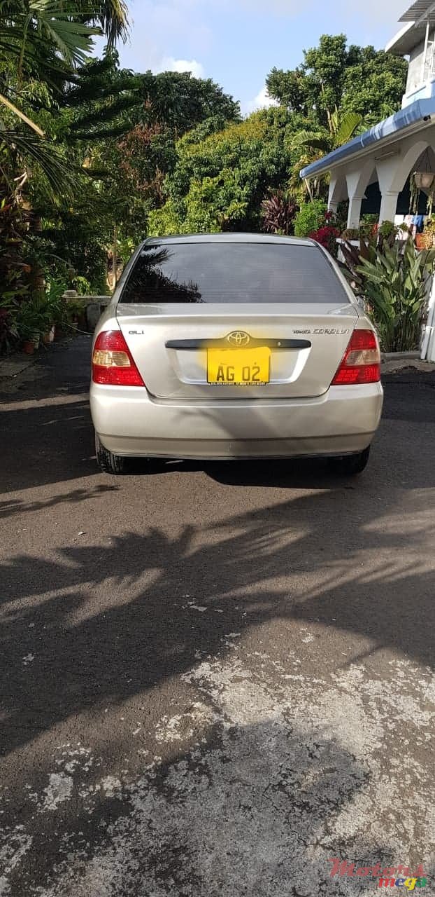 2002' Toyota Corolla NZE photo #2
