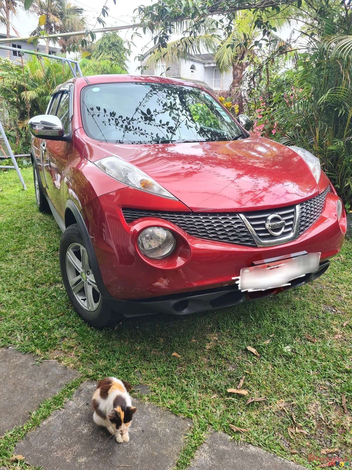 2011' Nissan Juke photo #1