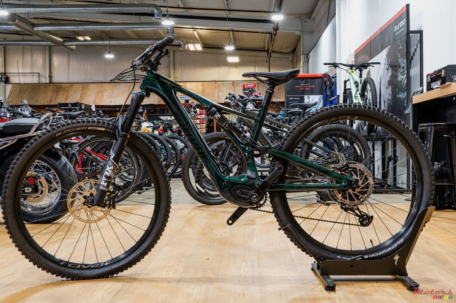 2025' Cannondale photo #3