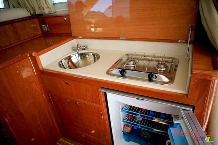 2009' Leopard photo #6