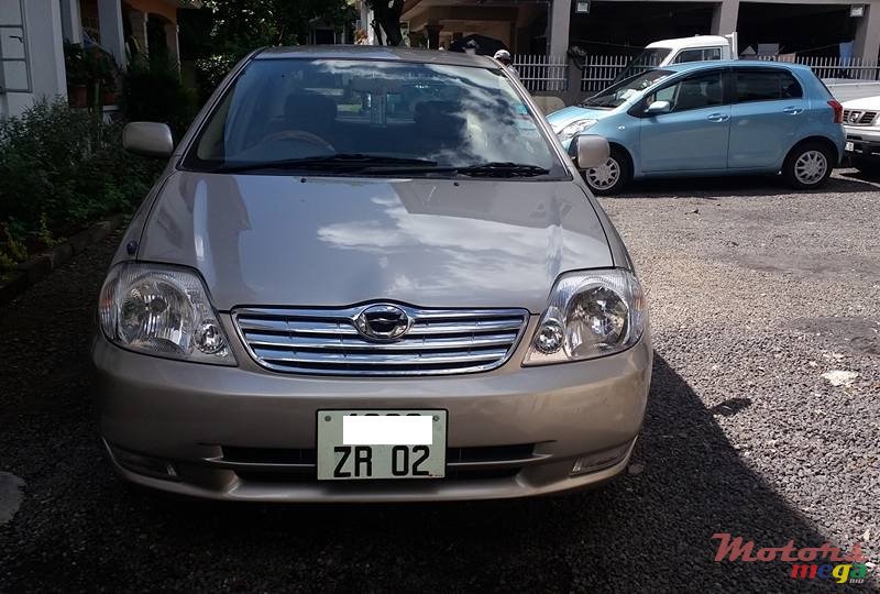 2002' Toyota Corolla NZE photo #1