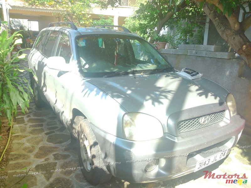 2004' Hyundai Santa Fe SUV photo #4