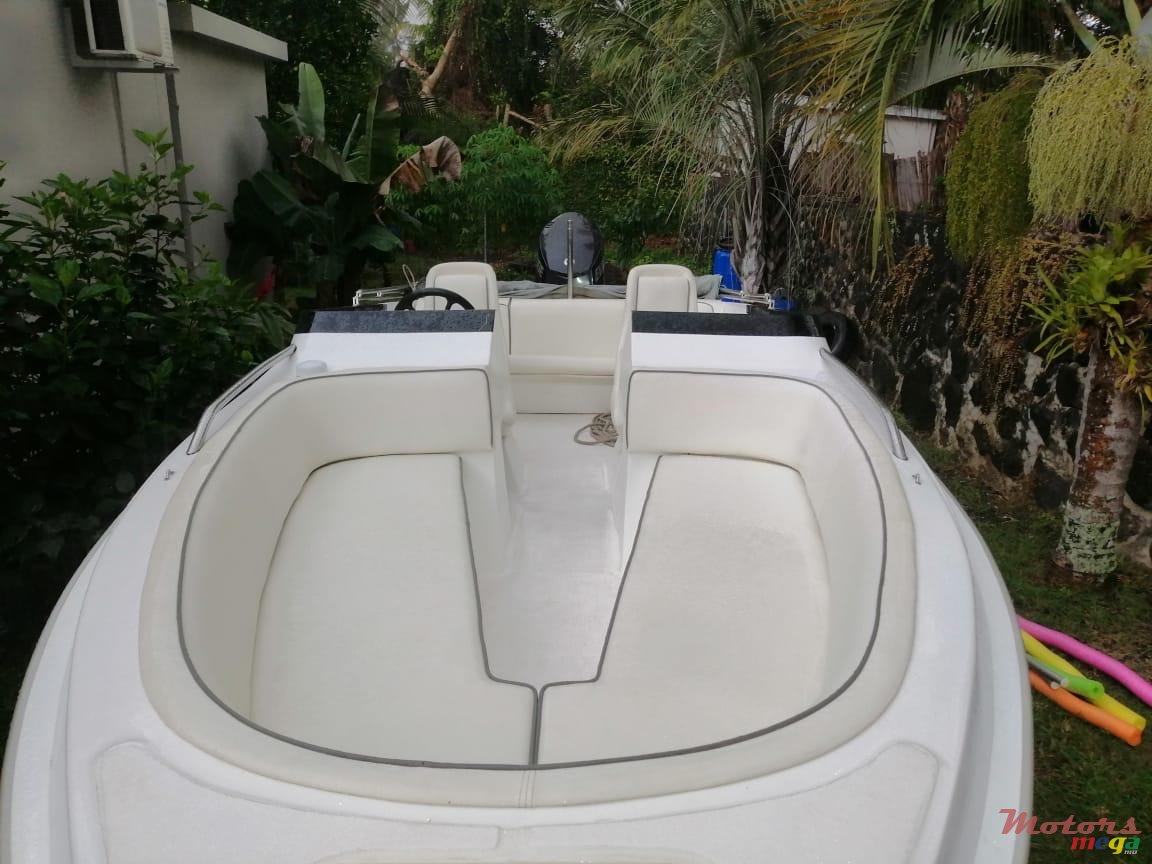 2007' Cobra photo #4