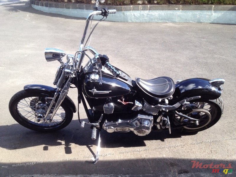 2000' HarleyDavidson Custom made photo #1