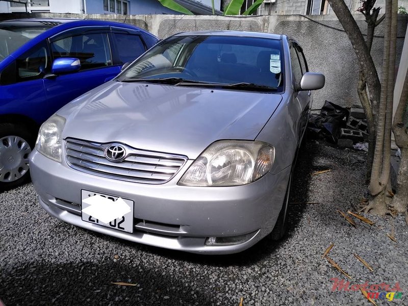 2002' Toyota Corolla NZE photo #1