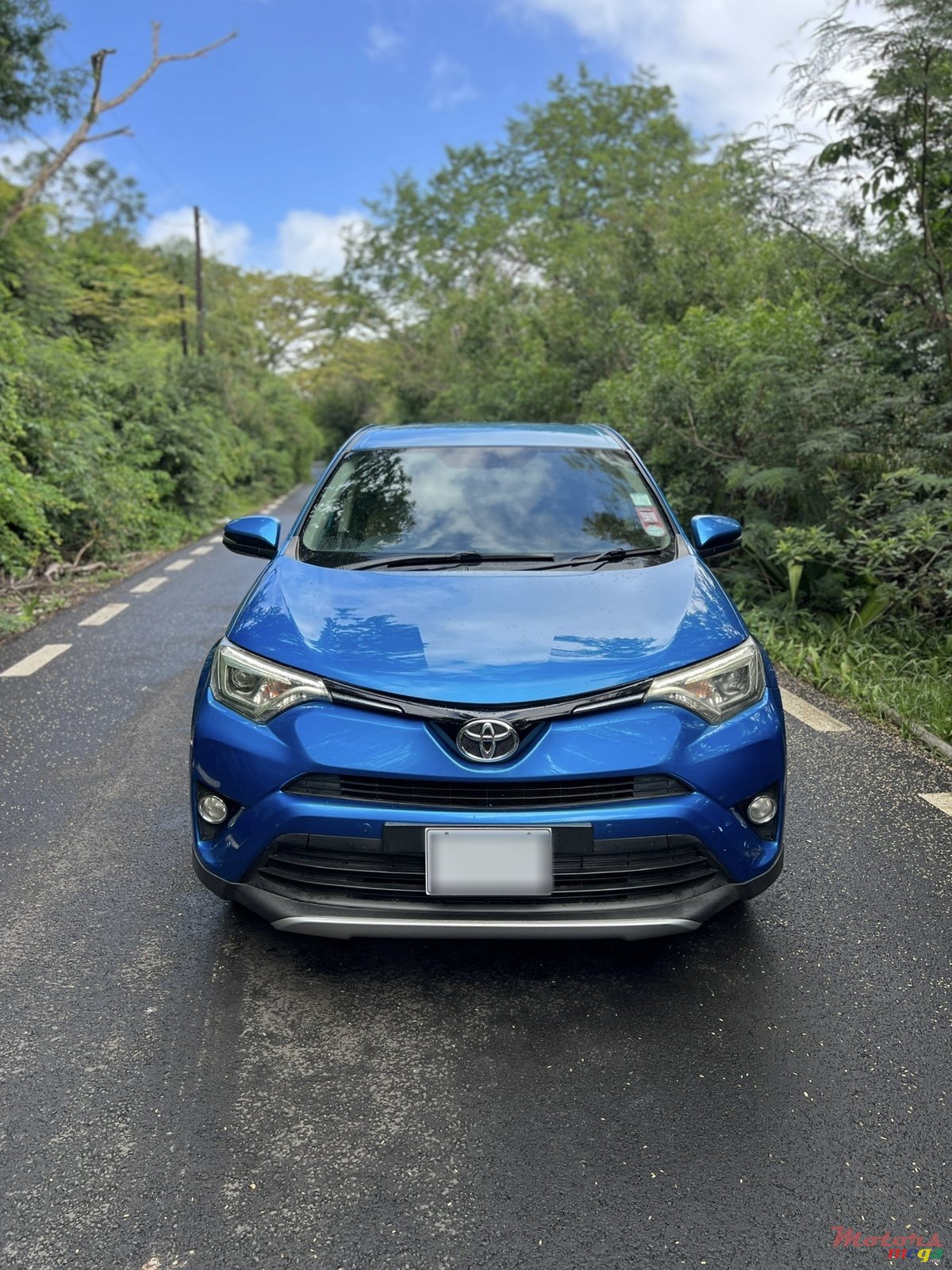 2016' Toyota RAV4 photo #1