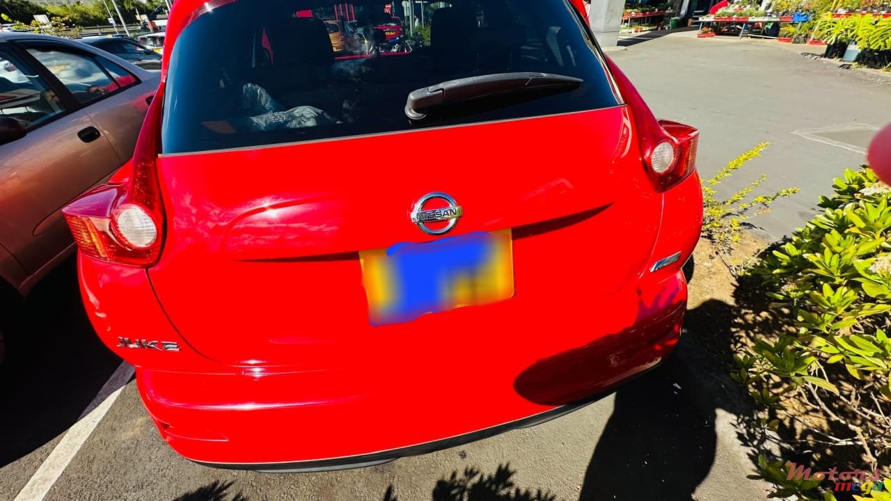 2013' Nissan Juke photo #4