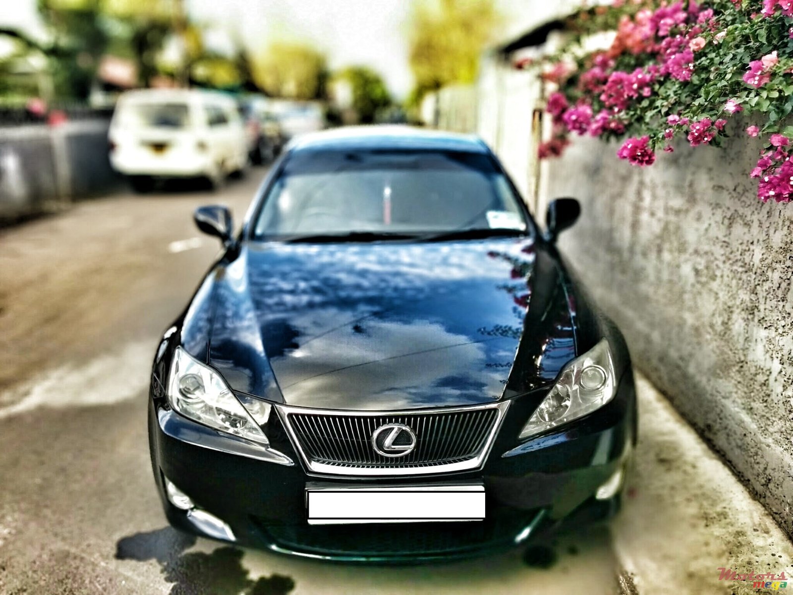 2008' Lexus IS 220d photo #1