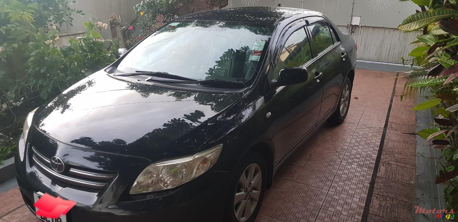 2009' Toyota Corolla photo #6