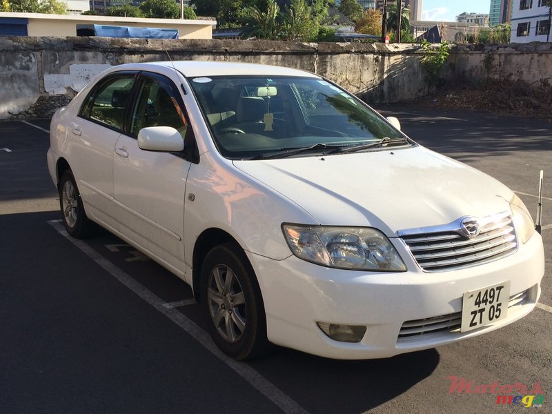 2005' Toyota Corolla photo #1