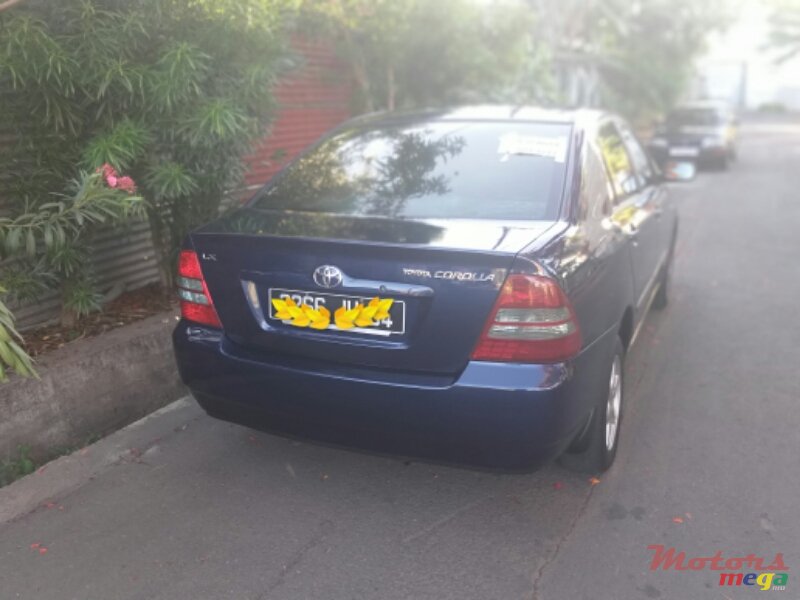 2004' Toyota Corolla NZE photo #3