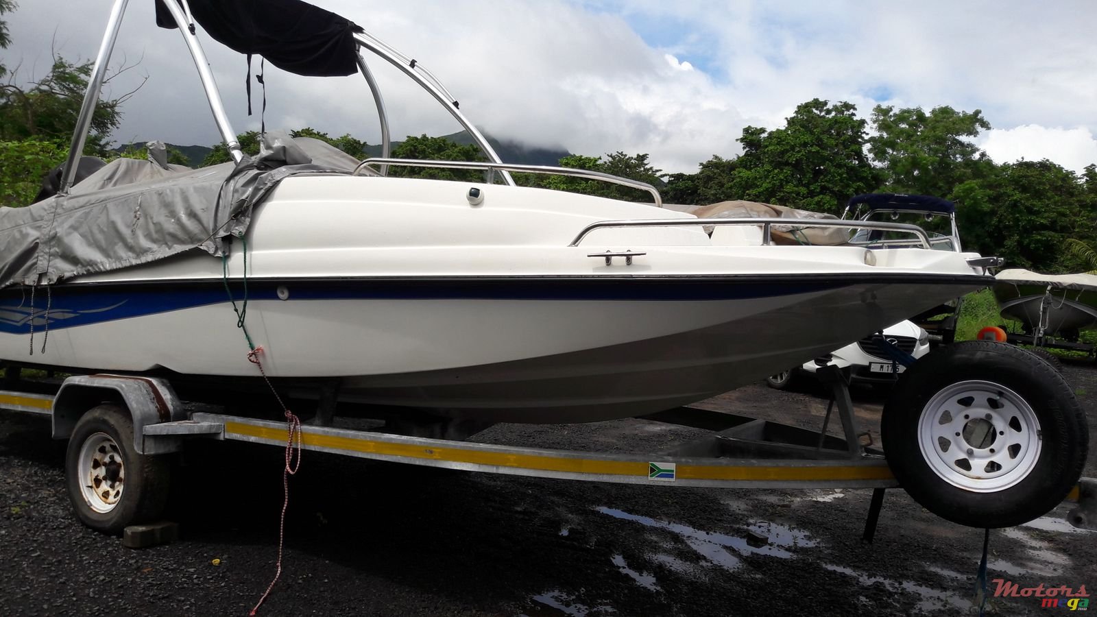 2014' Sunsation photo #2