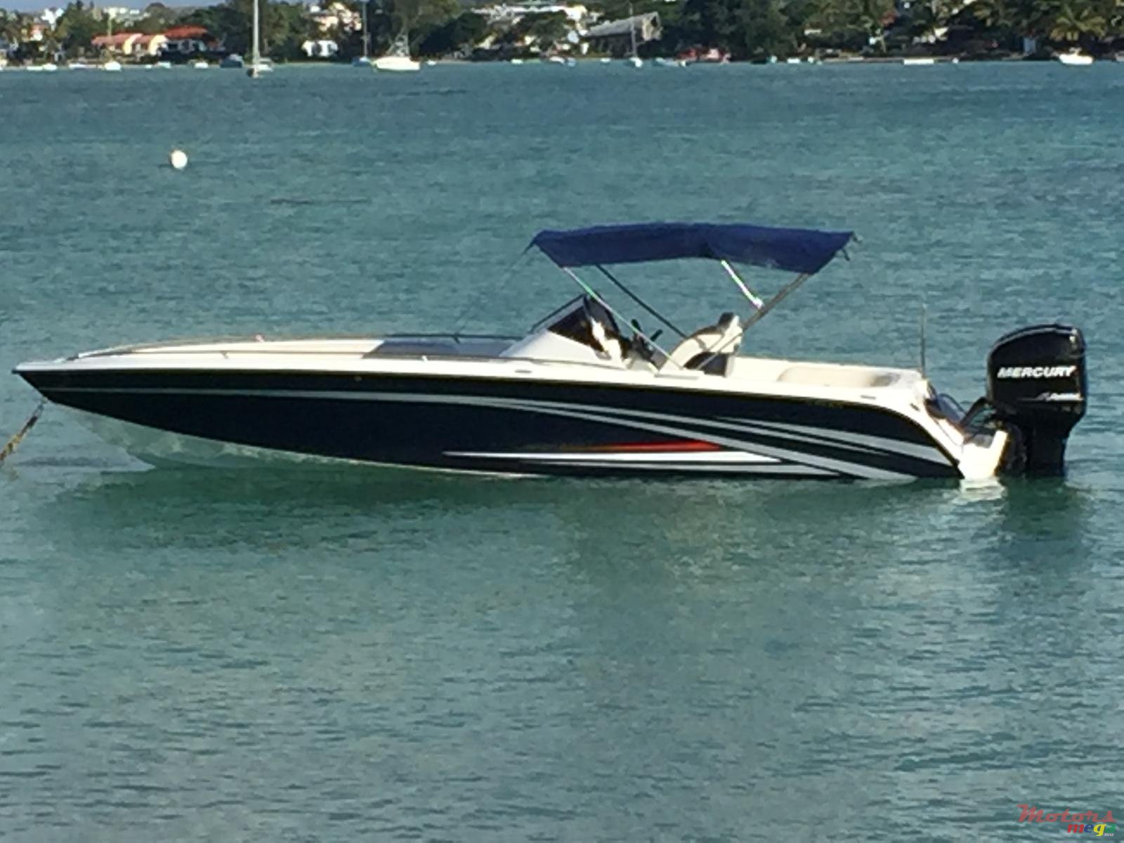 2010' Cobra photo #2