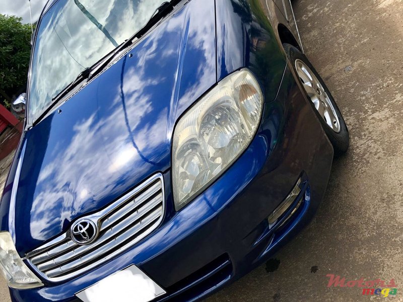 2003' Toyota Corolla photo #3