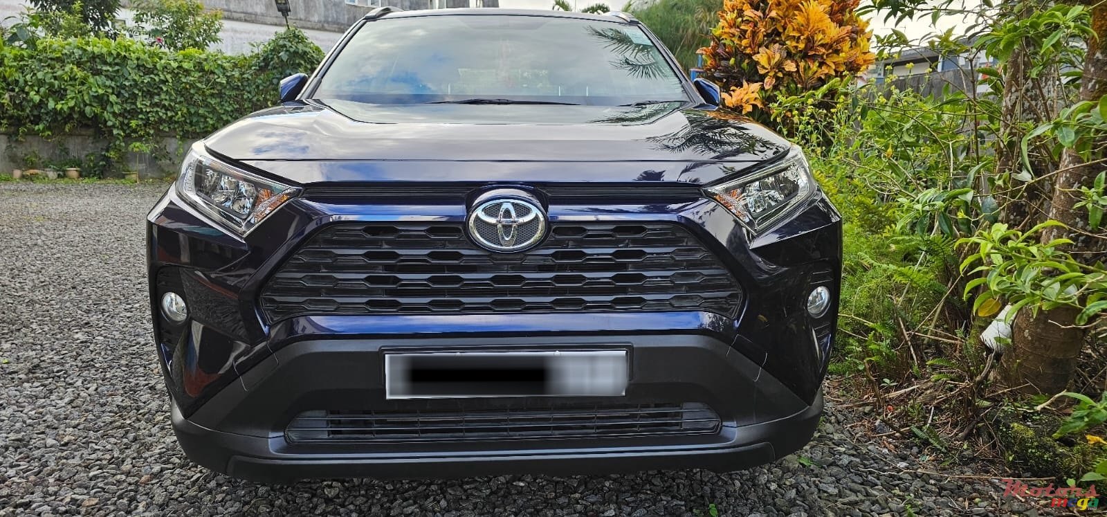 2021' Toyota RAV4 photo #2