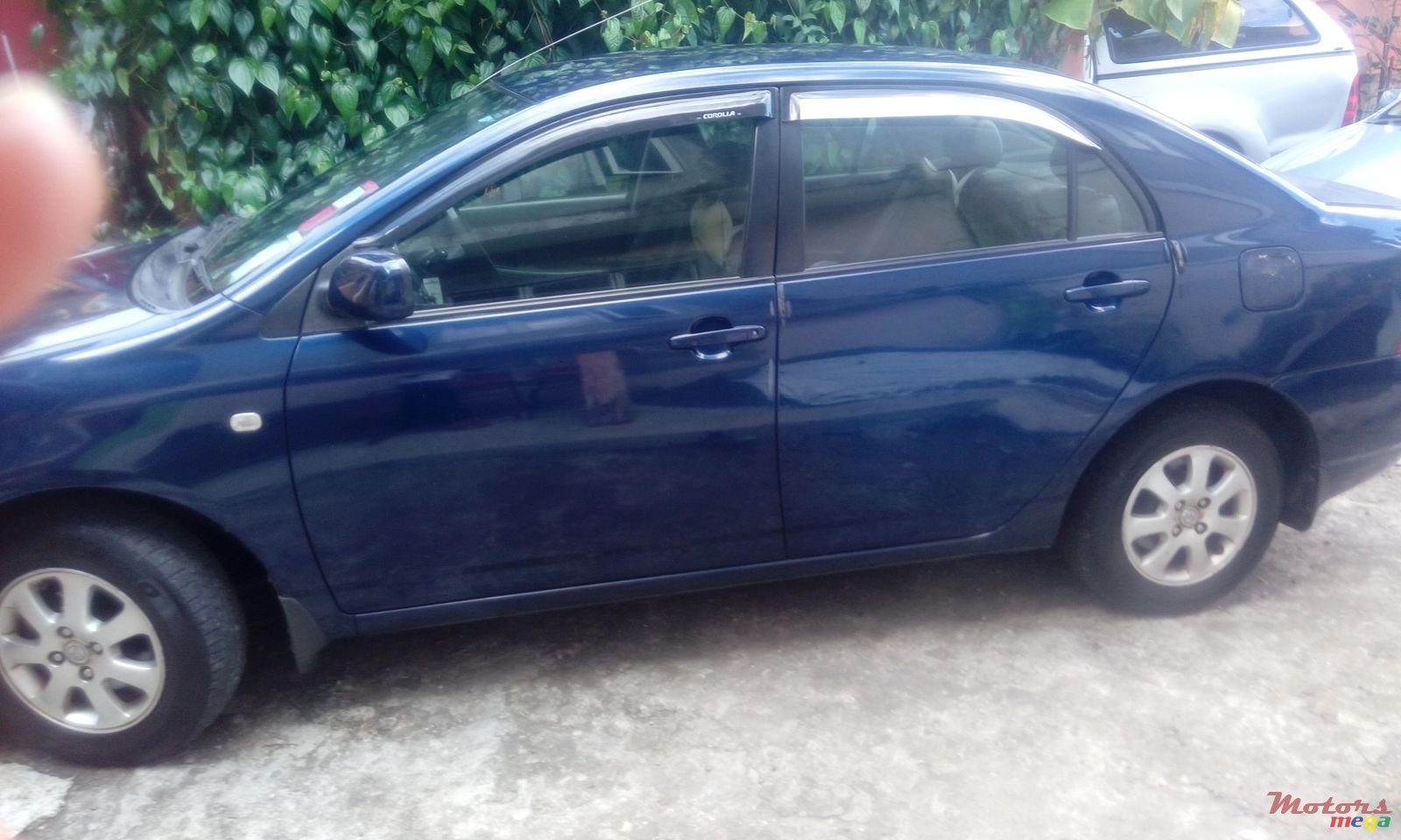 2002' Toyota Corolla NZE photo #1