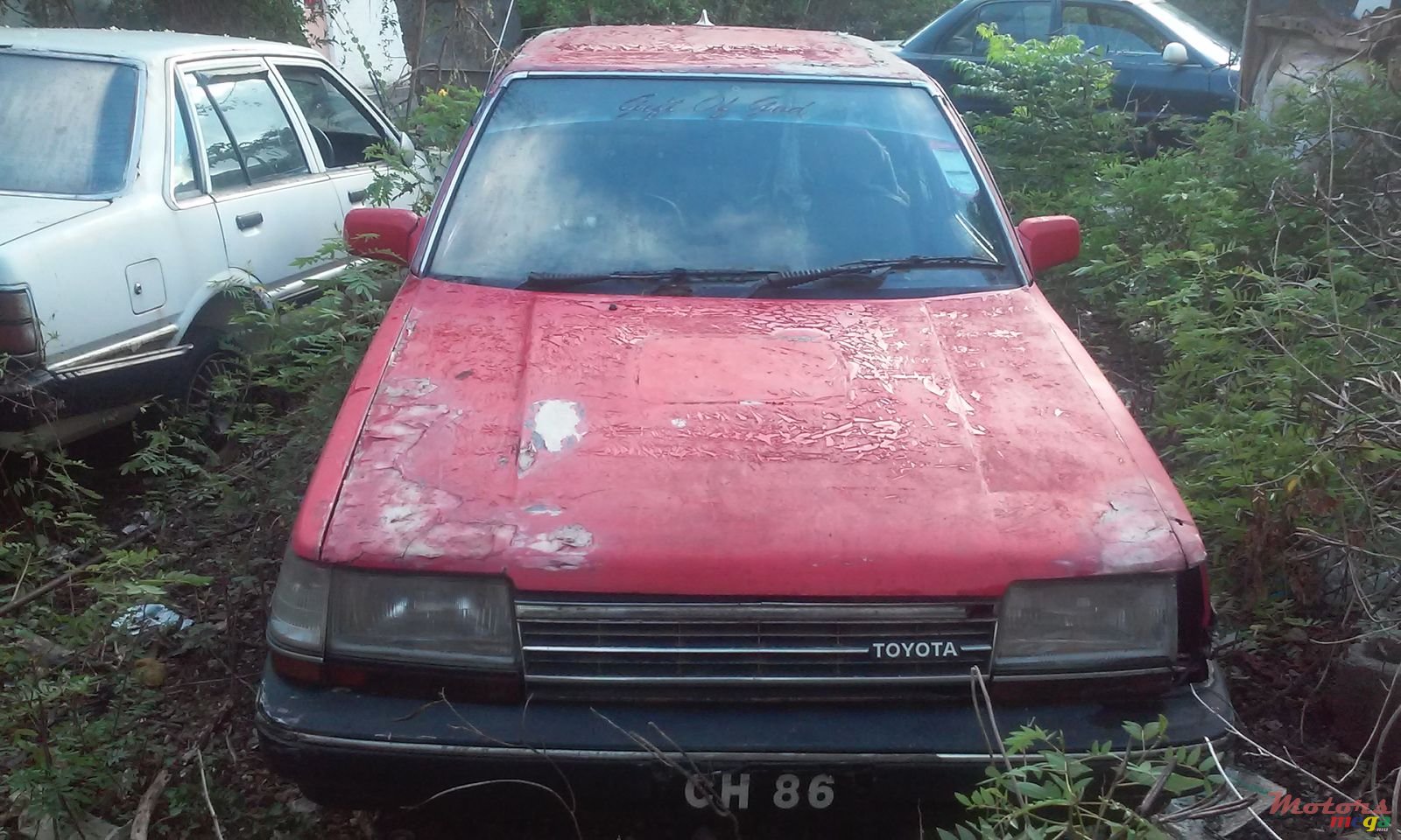 1988' Toyota Corona 1290 photo #2