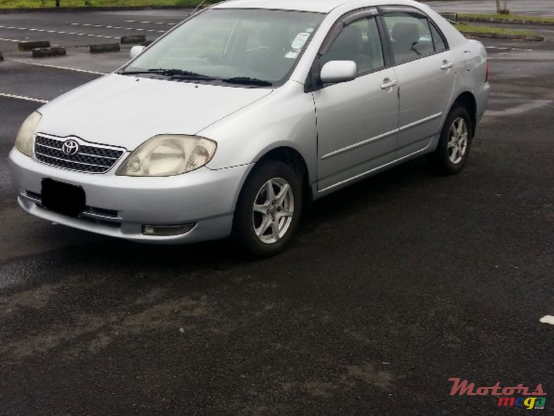 2002' Toyota Corolla photo #1