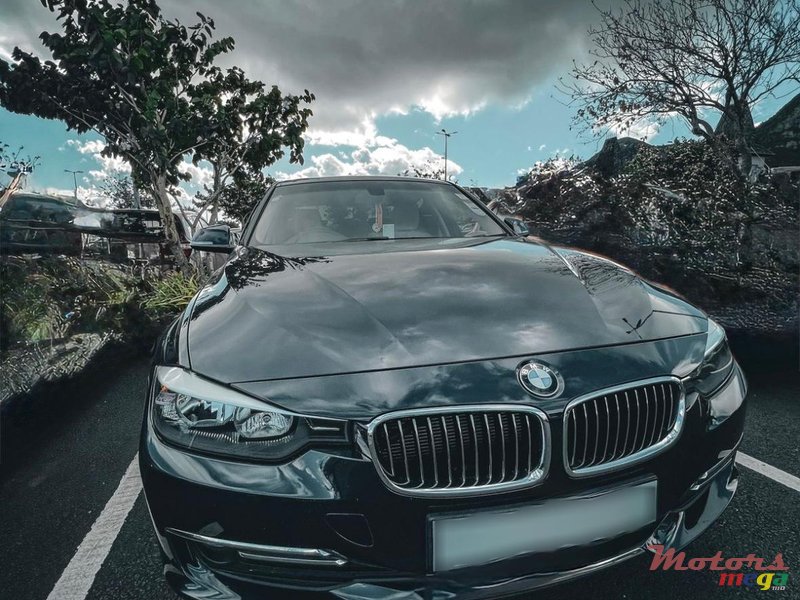 2013' BMW 316 photo #2