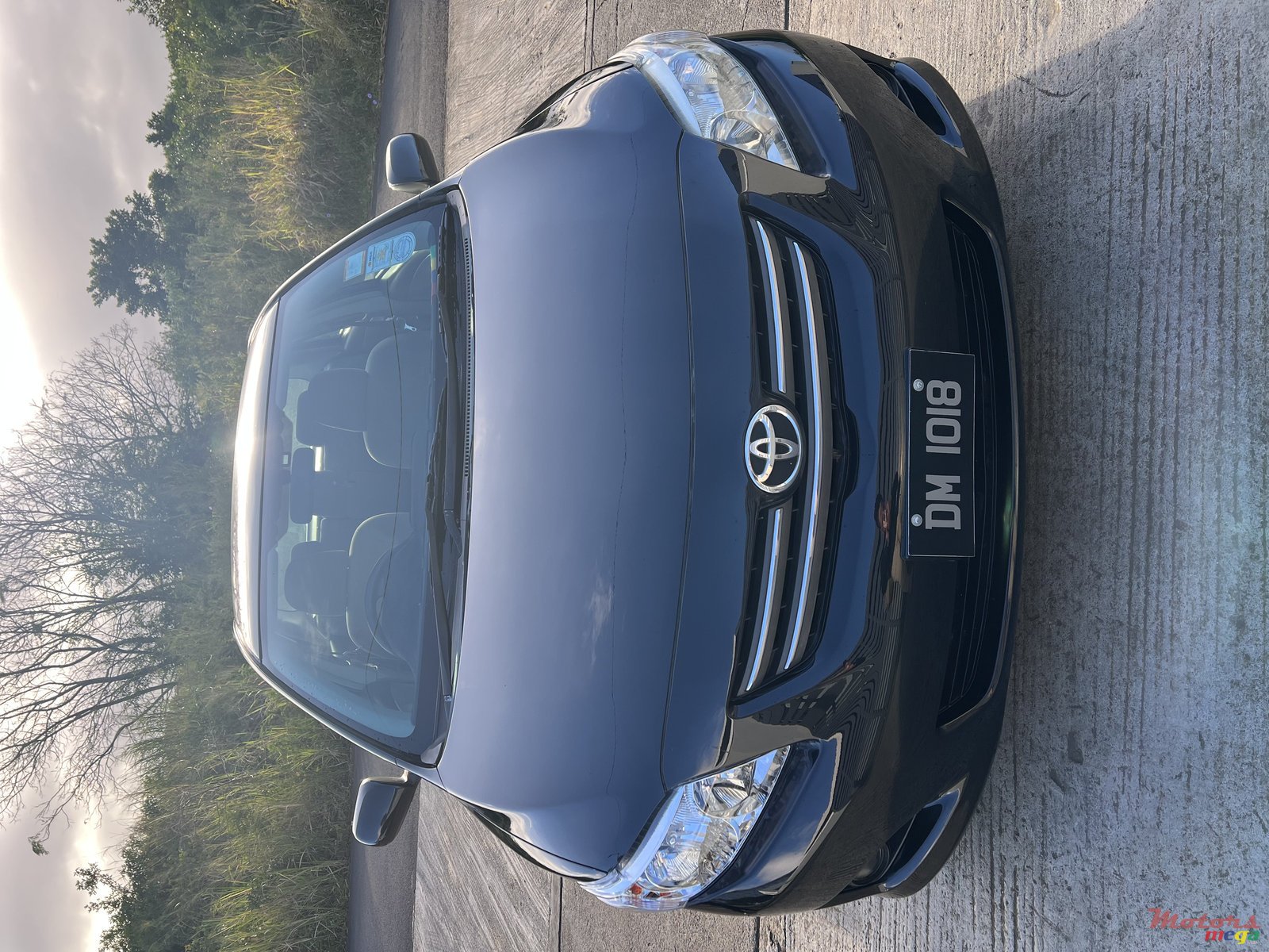 2009' Toyota Corolla photo #2