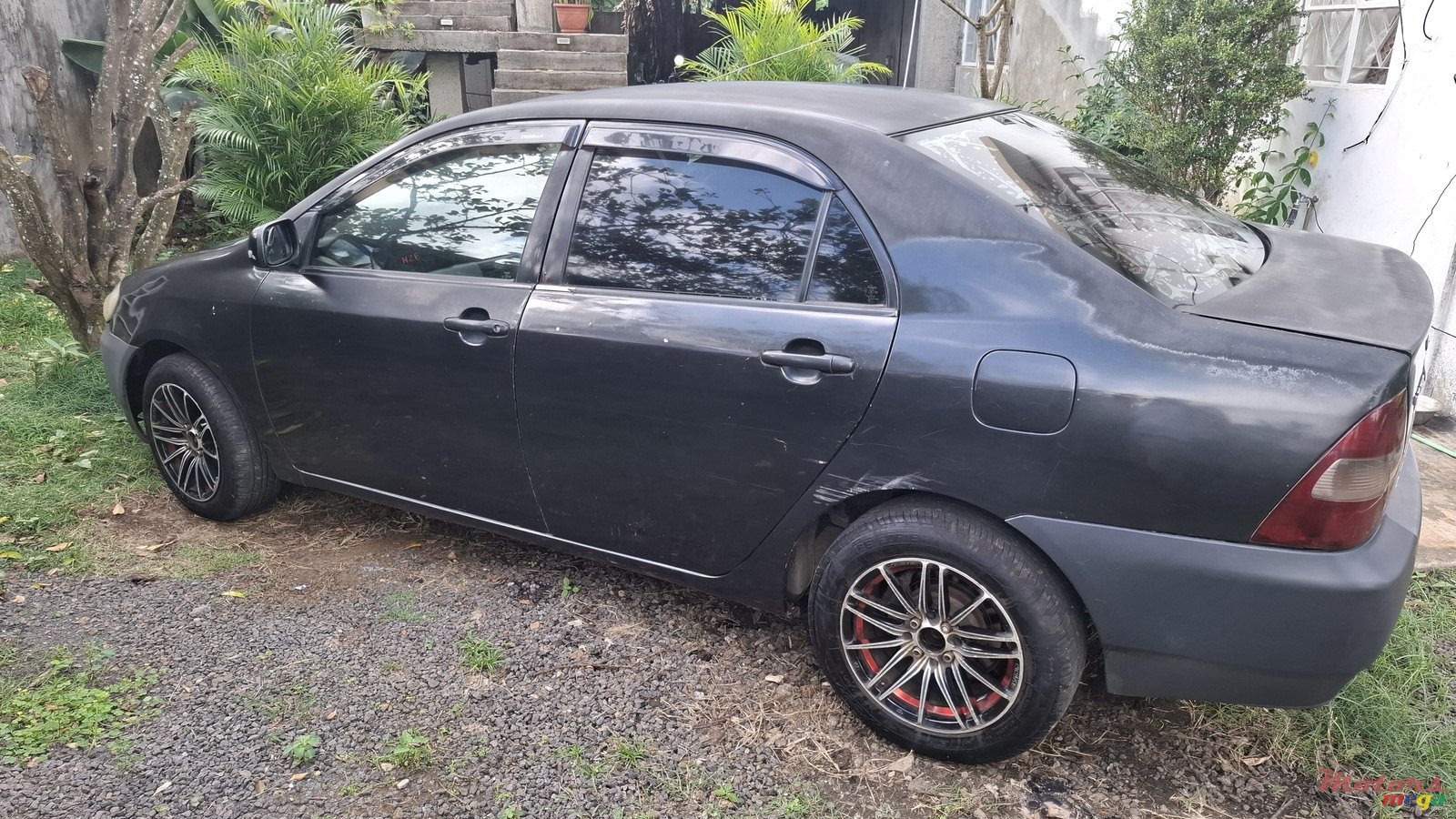 2001' Toyota Corolla photo #4