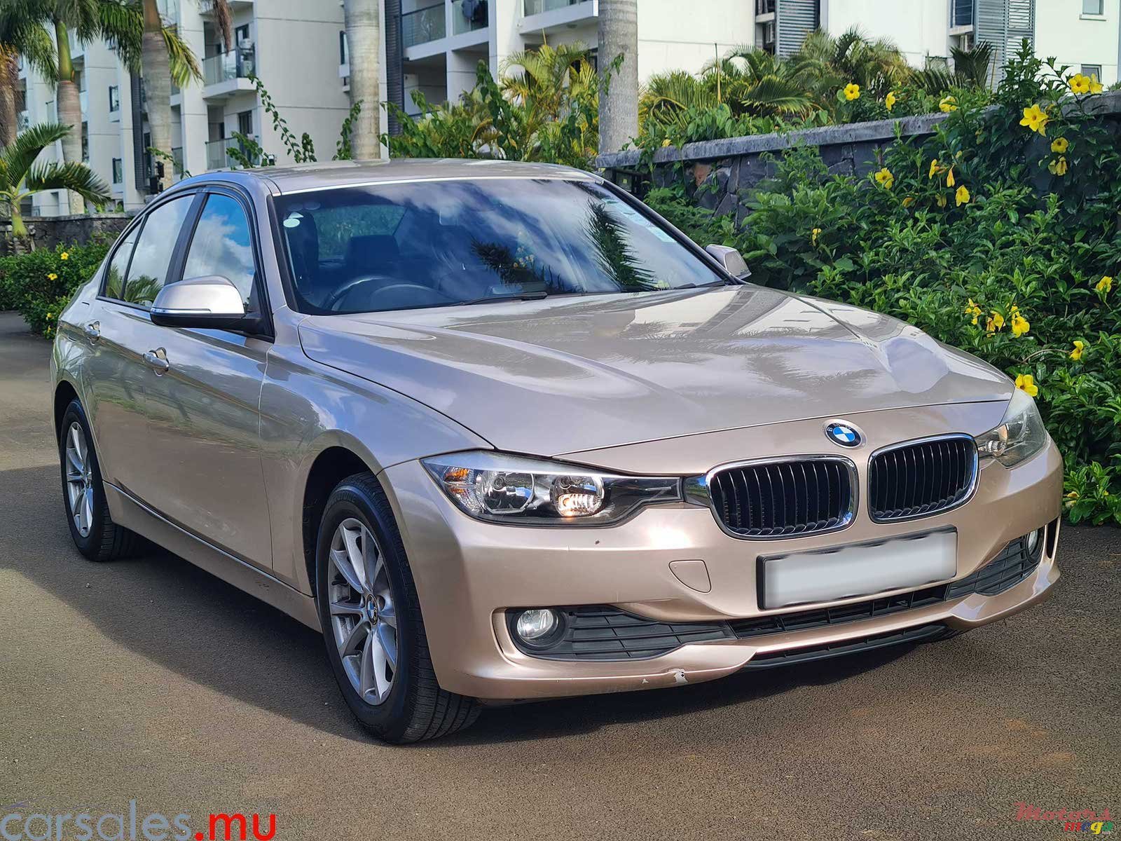 2013' BMW 316 i photo #1