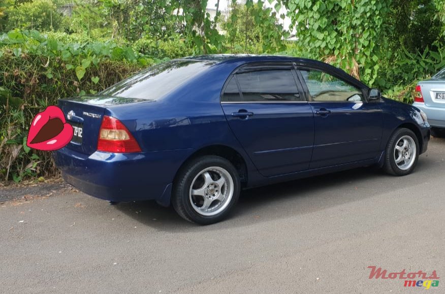 2002' Toyota Corolla photo #3
