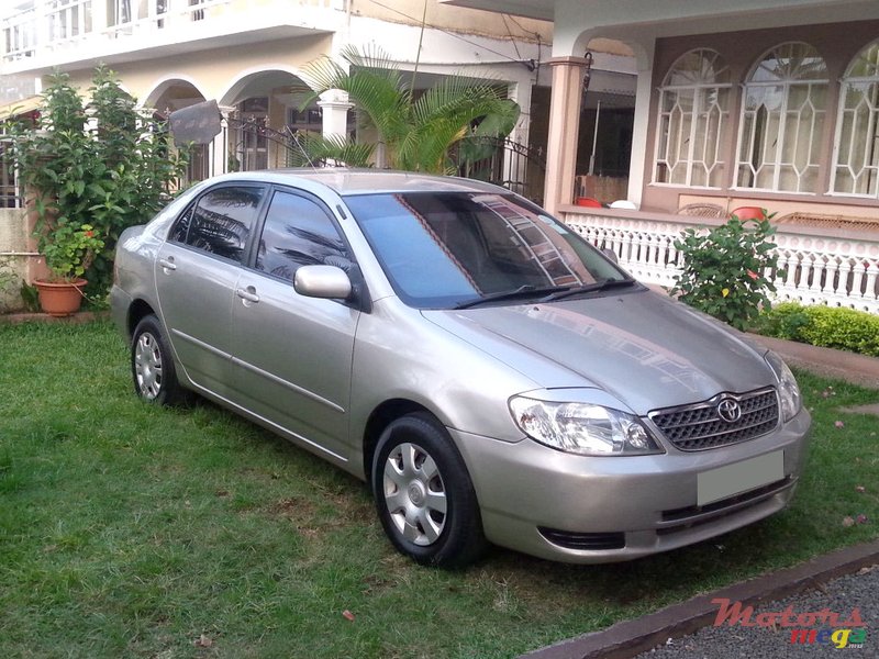 2001' Toyota Corolla photo #1