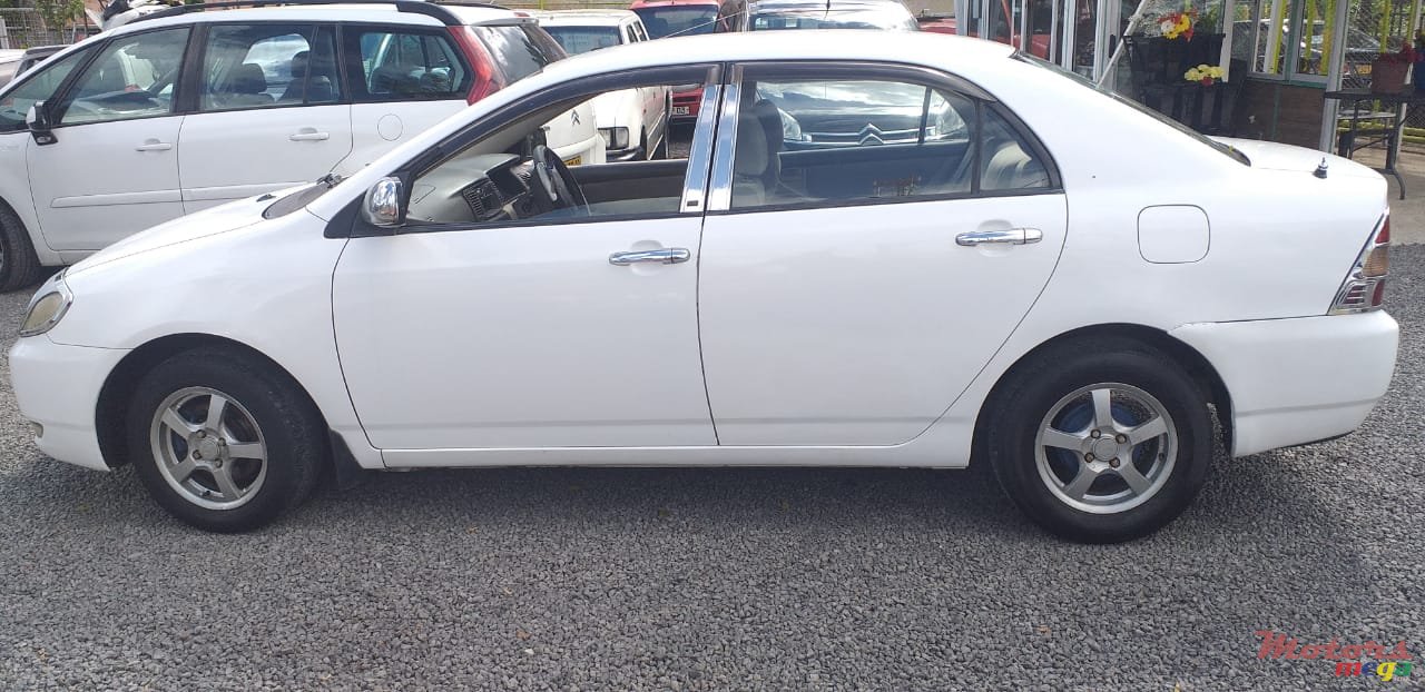 2001' Toyota Corolla NZE photo #2