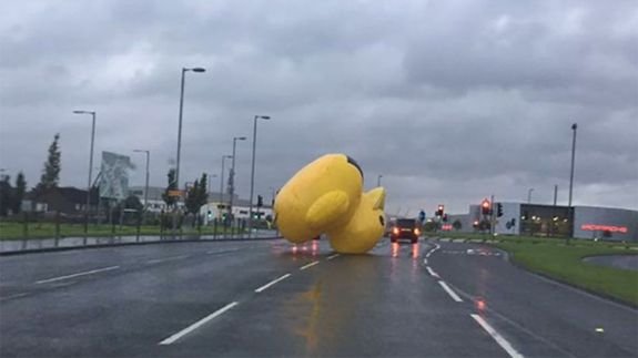 Residents of Glasgow, Scotland got quite a shock last week when a giant inflatable duck broke free..