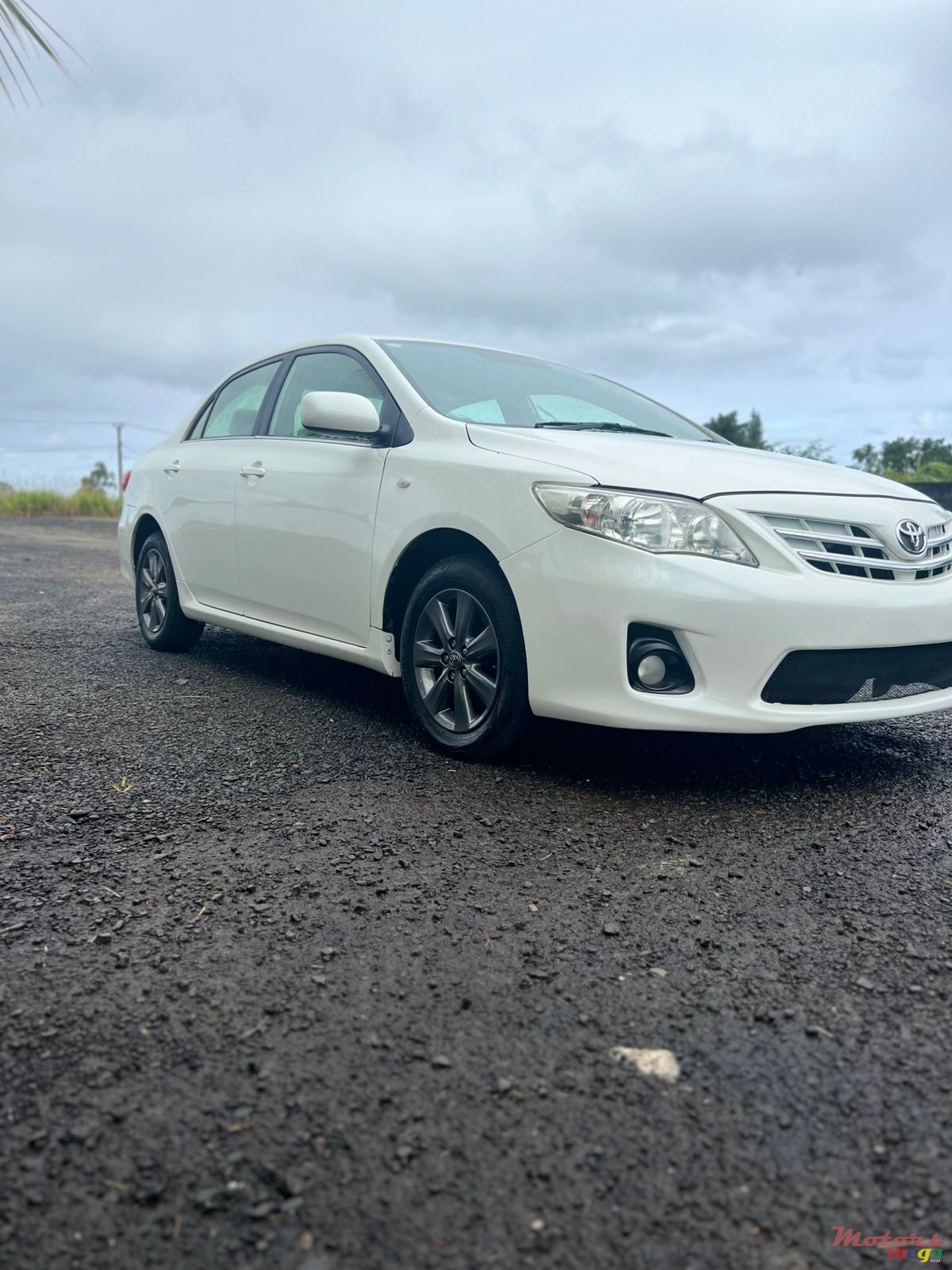 2012' Toyota Corolla photo #1