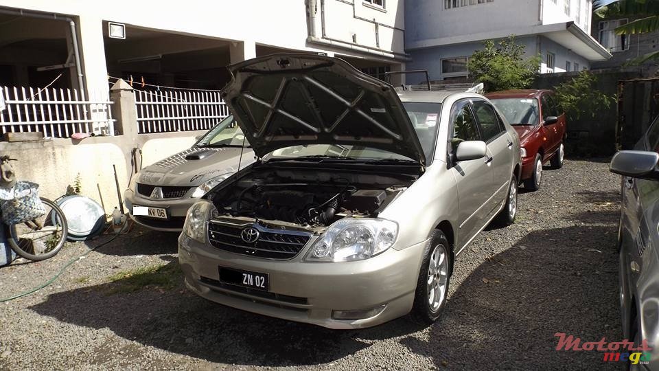 2002' Toyota Corolla NZE photo #7