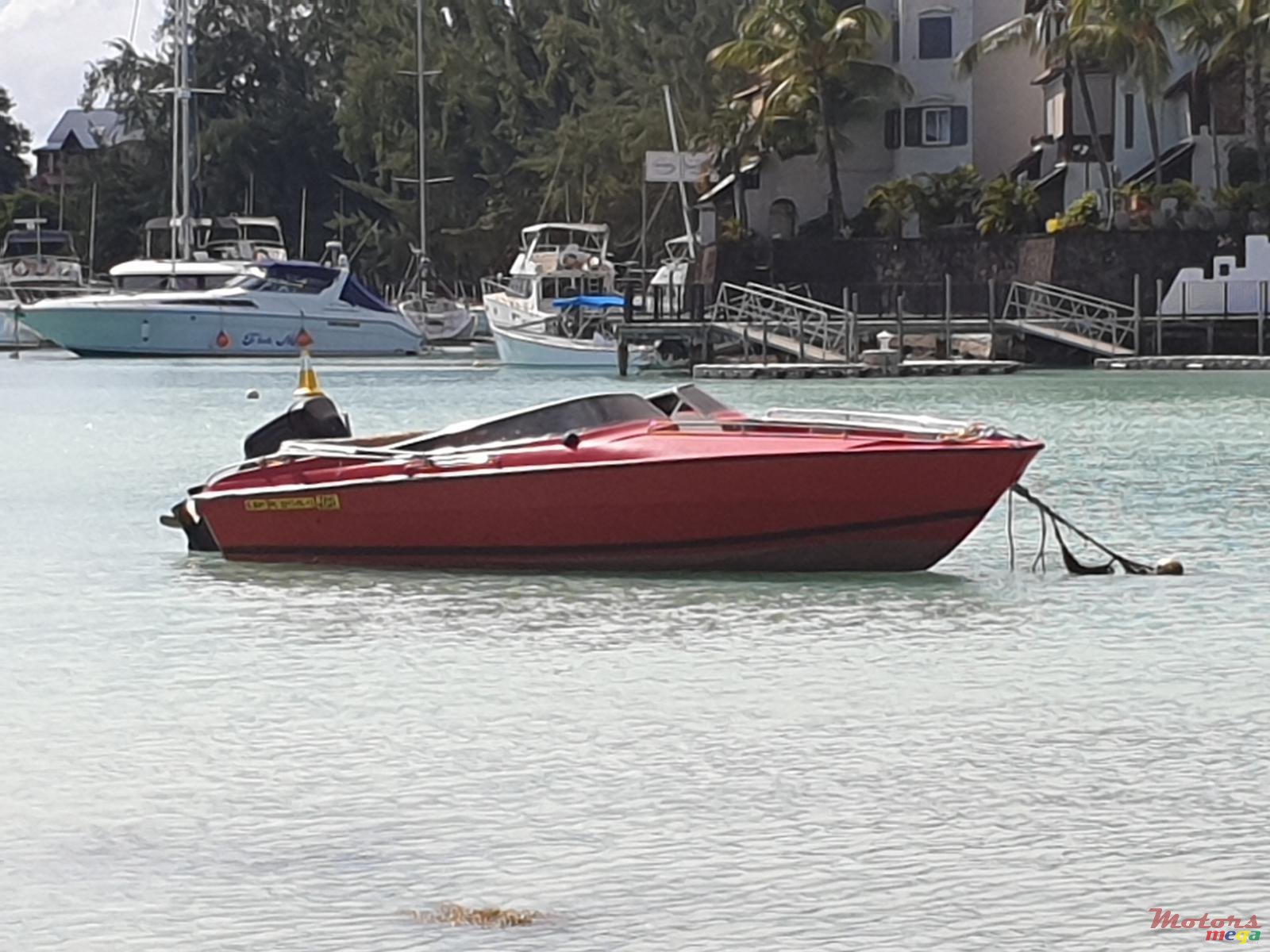 2000' Cobra photo #3