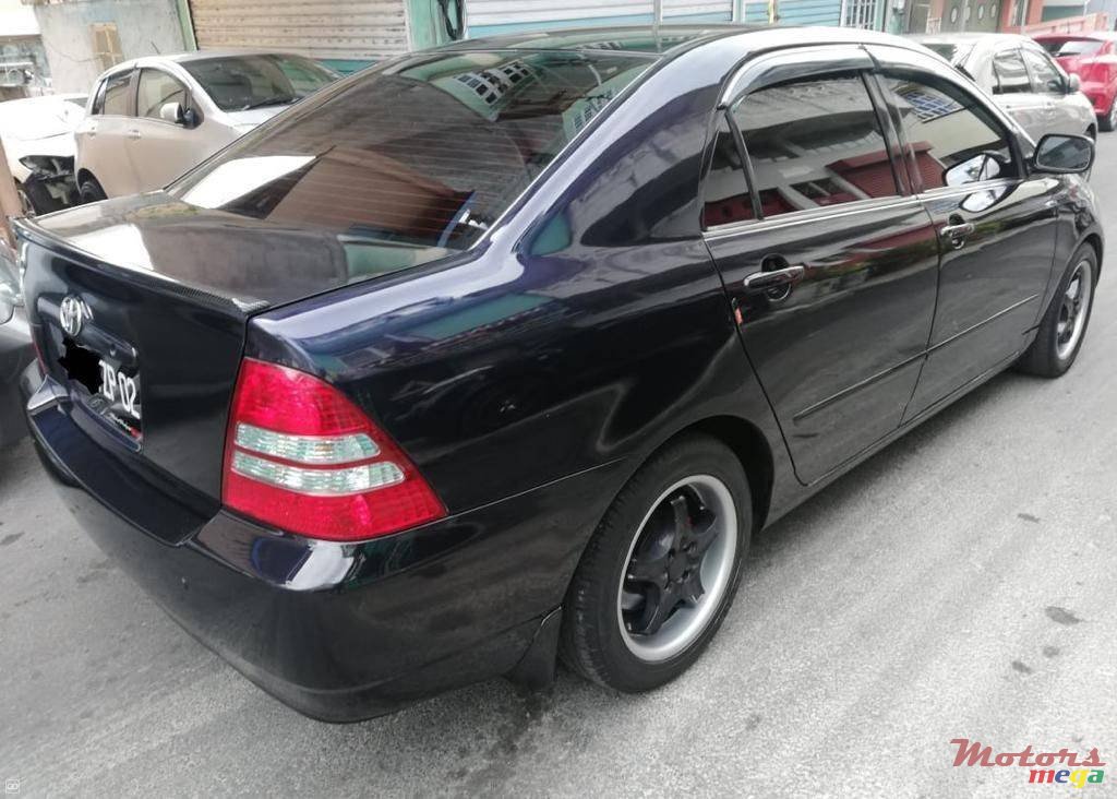 2002' Toyota Corolla NZE photo #4