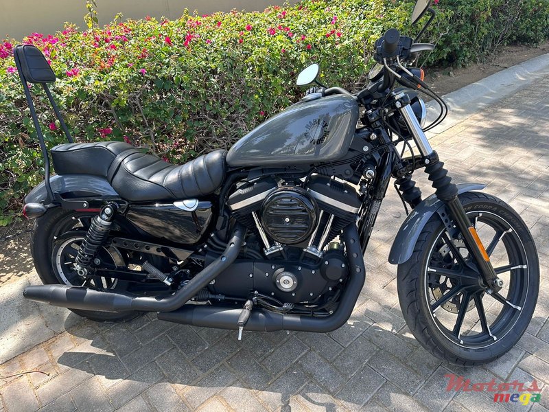 2022' Harley-Davidson IRON 883 photo #1