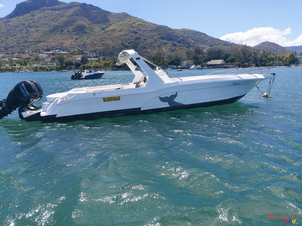 2009' Legend photo #1