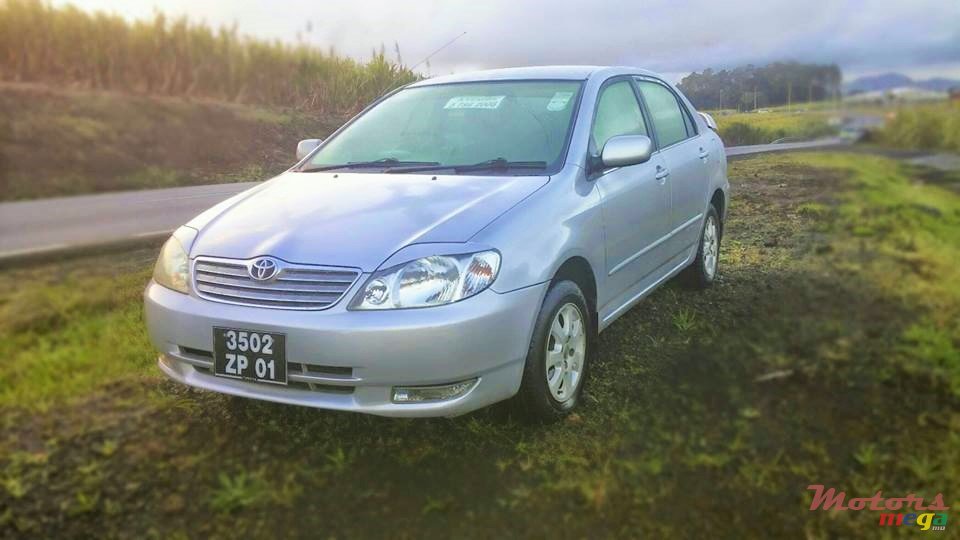 2001' Toyota Corolla Nze photo #1
