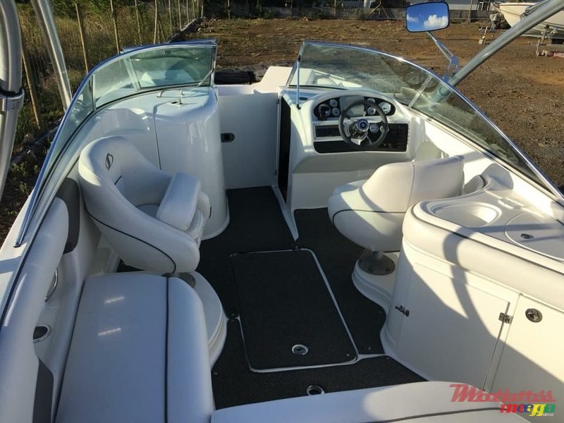 2014' Sunsation photo #2