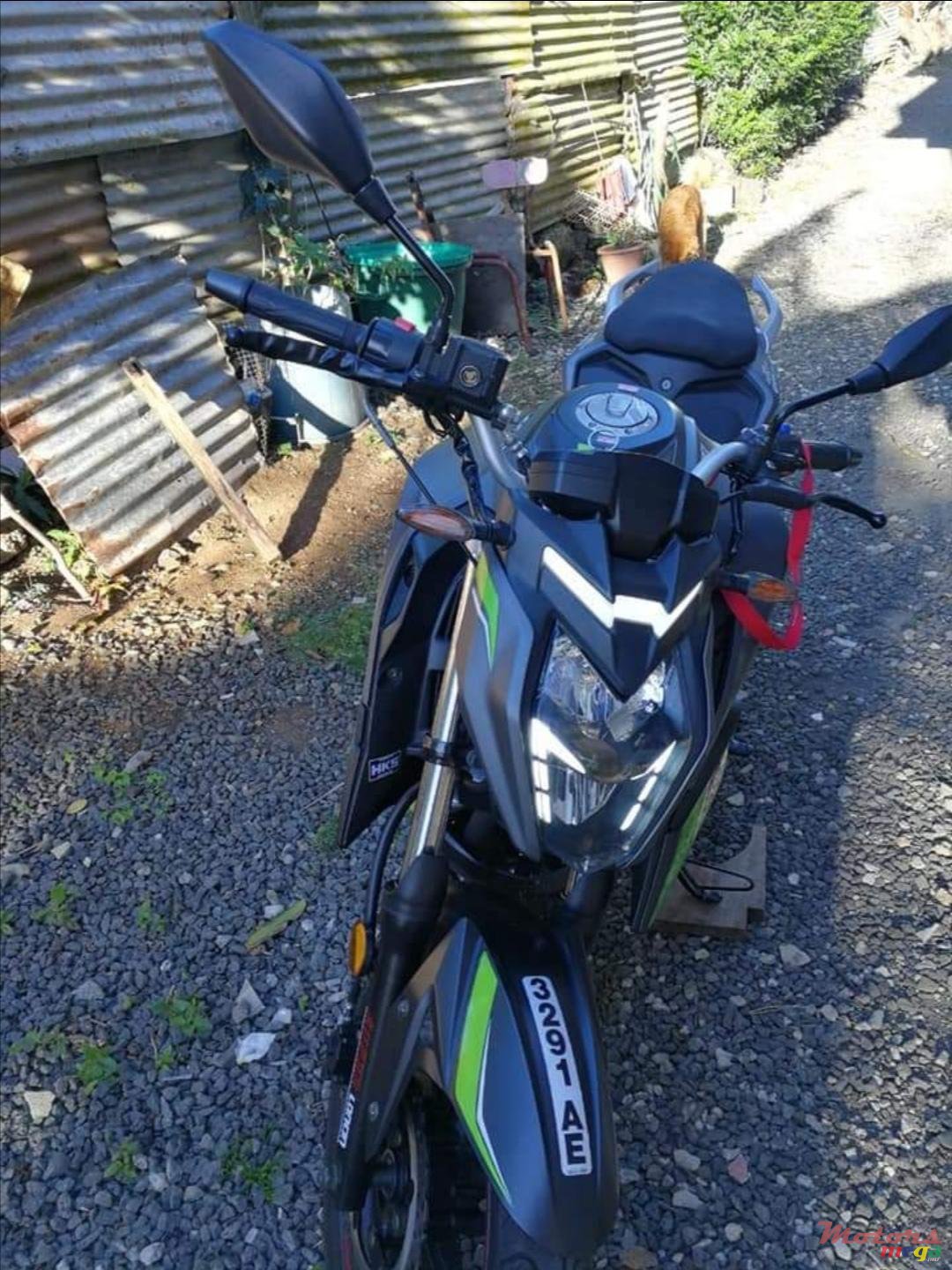 2019' Loncin photo #3