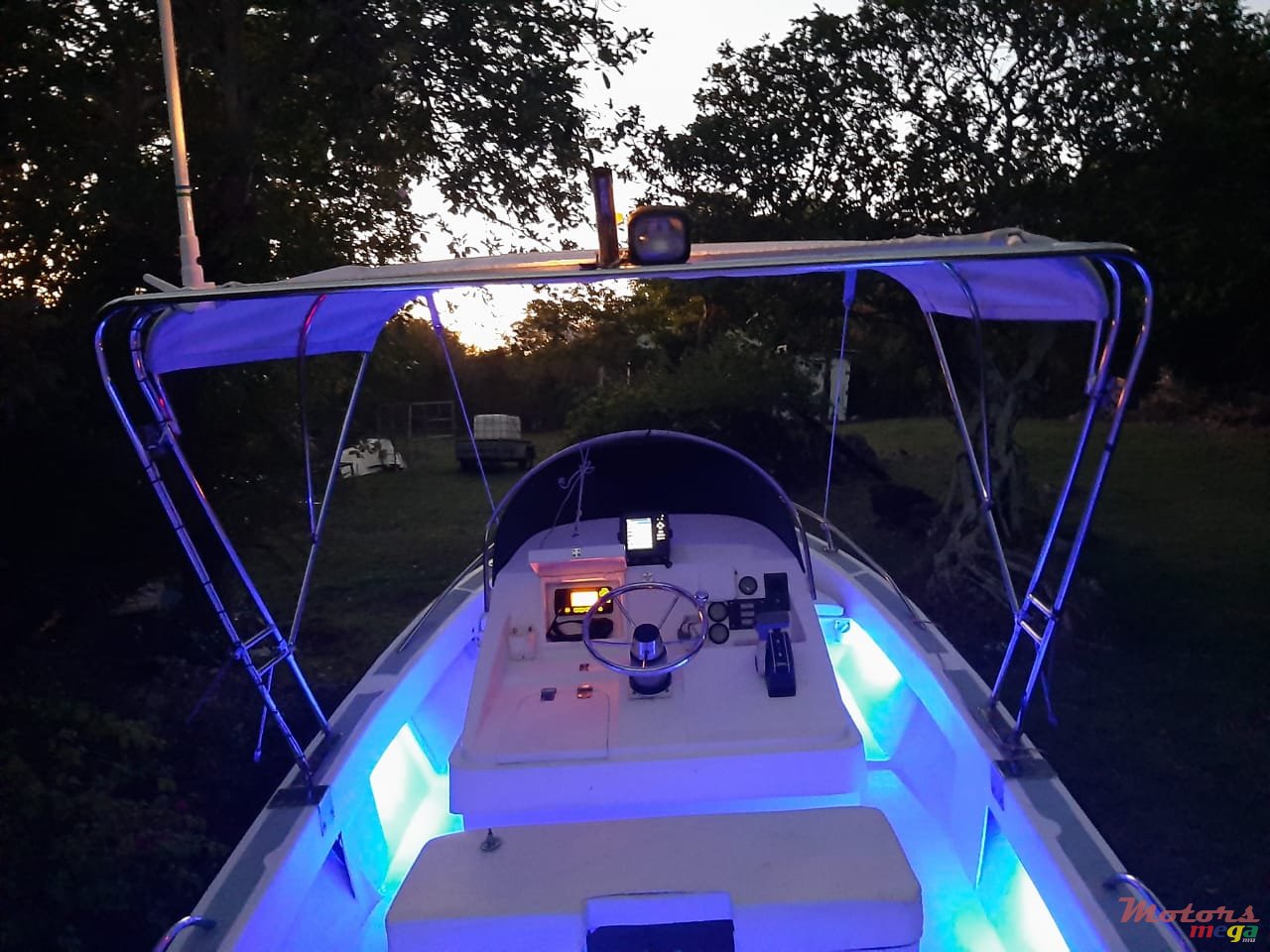 2012' Tremlett photo #3