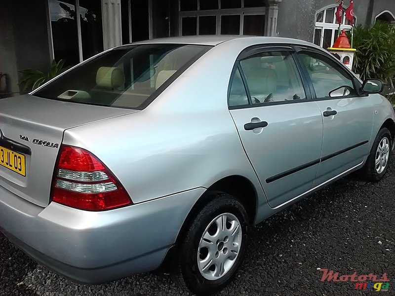 2003' Toyota Corolla nze photo #1