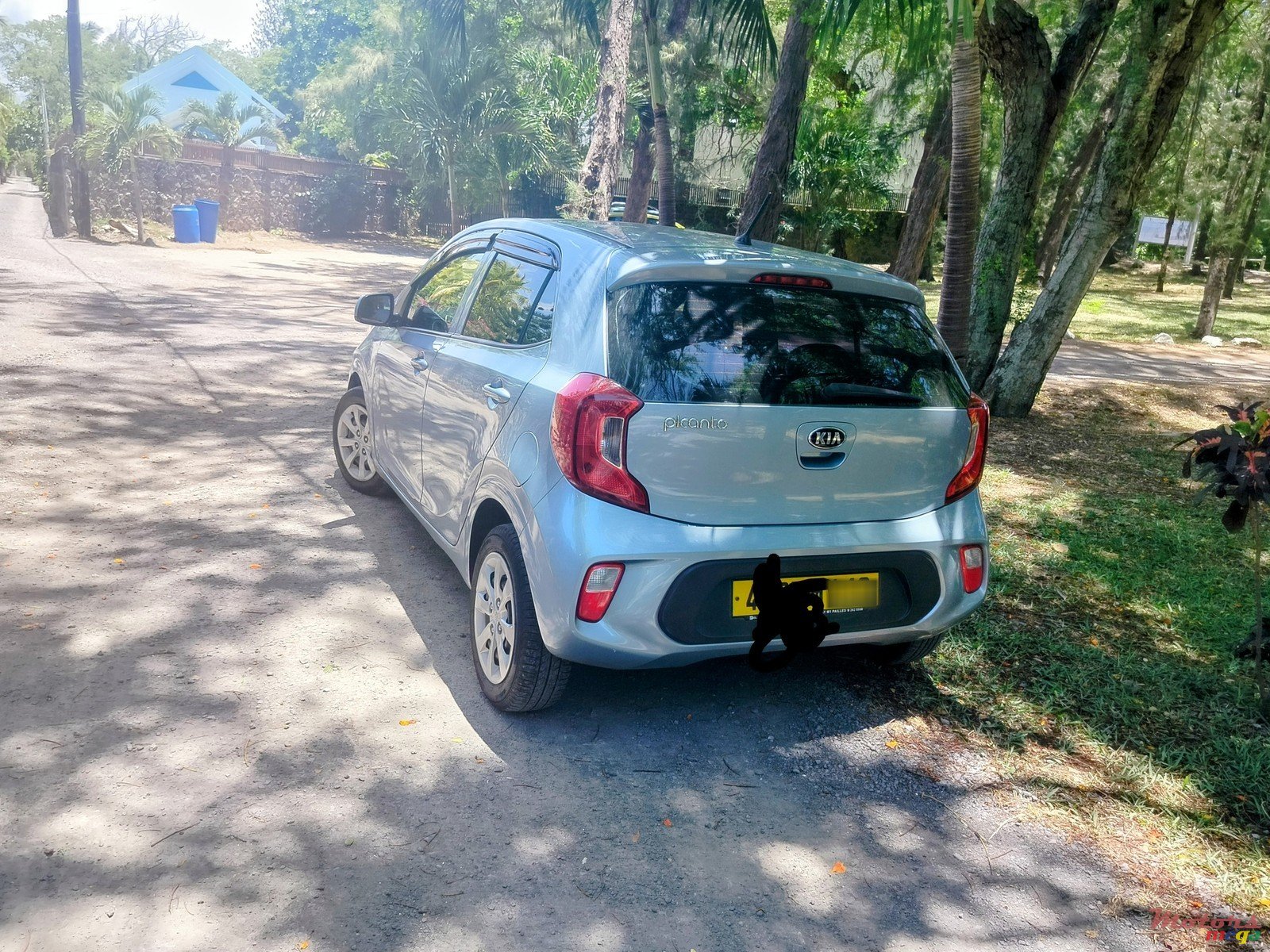 2019' Kia Picanto photo #2