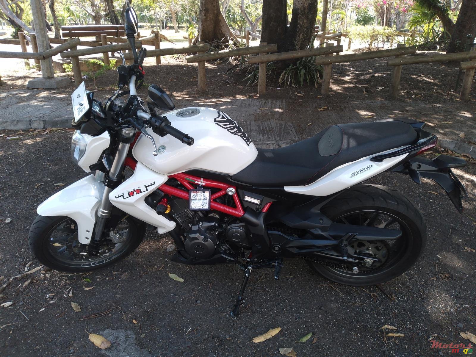 2019' Benelli TNT 300 photo #7