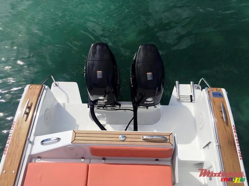 2017' Tema marine photo #2